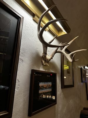 Culpepper Cattle Co. by null