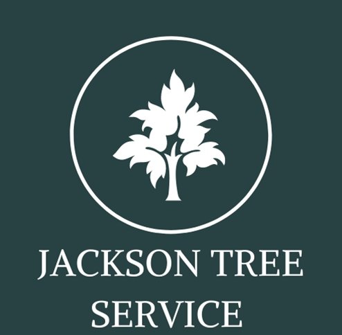 Jackson Tree Service - tree service in Jackson, MS