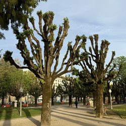 Parque Dr. Manuel Braga