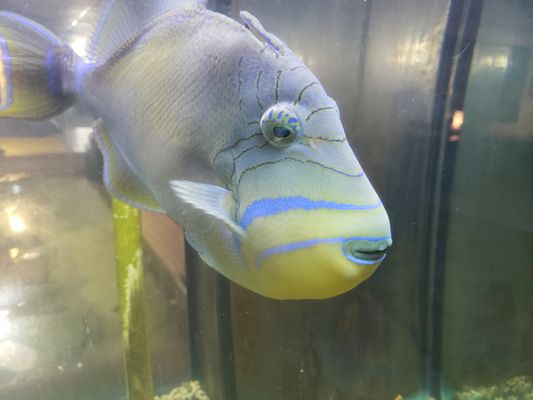 Biomes Marine Biology Center by null