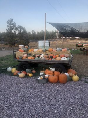 Well Rooted Farms by null