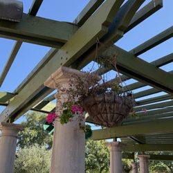 Shops at San Miguel Ranch
