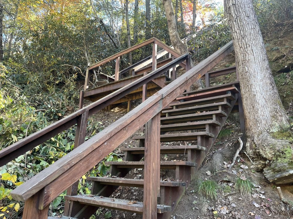 Slide of Kevin Murphy