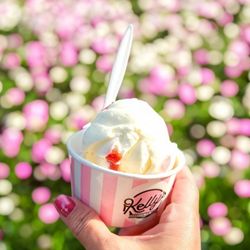 Kelly's Homemade Ice Cream - Horchata and Guava Cheese - both very good!