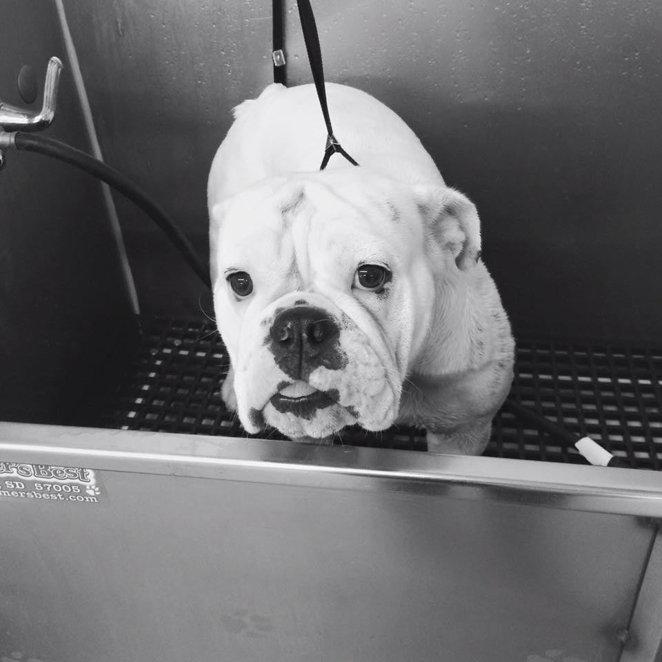 TRANSFURMATIONS SPA Updated September 2024 23 Photos 4225 S