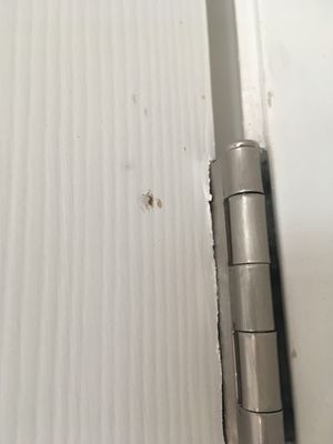 The Huntington by null