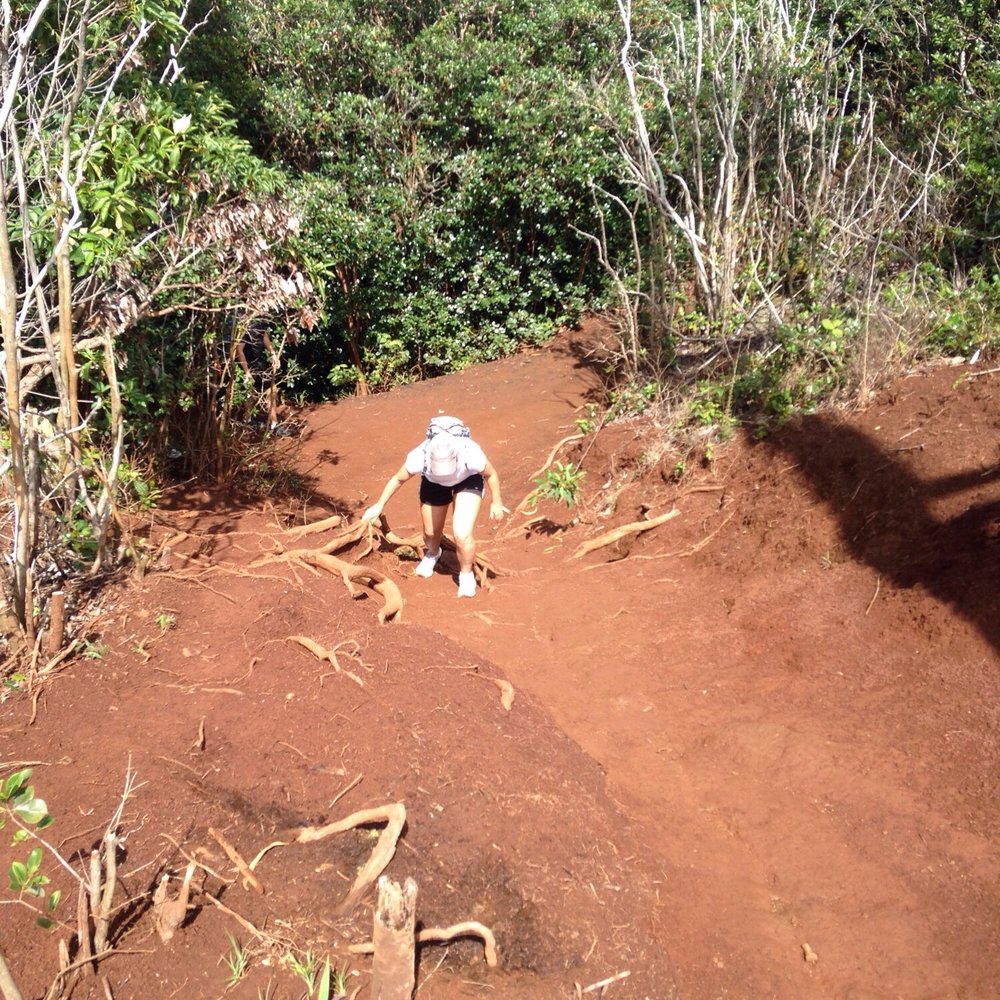 Aiea Loop Trail - Muddy parts - Hiking Near Me - Aiea, Hawaii
