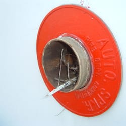 General Fire Systems - Birds Nest inside Fire Department Connection (Before)
