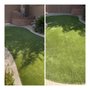 Life Turf