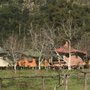 Photo of Santuario de La Naturaleza Cascada de Las Animas