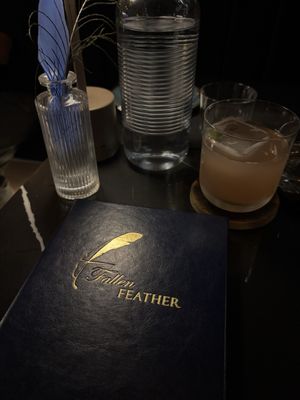 Fallen Feather by null