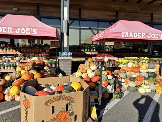 Trader Joe's by null