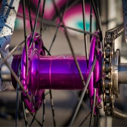 Black Bird Bike Co