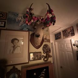 Cellar Door - Decor