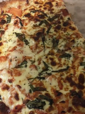 Santucci's Original Square Pizza by null
