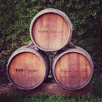 Fenn Valley Vineyards by null