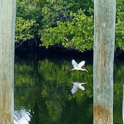 Eagle Point Park - "Fly away with me"