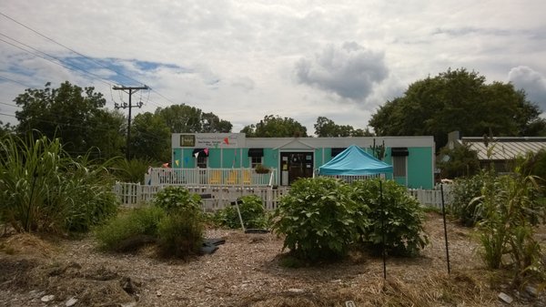 Fresh Future Farm by null