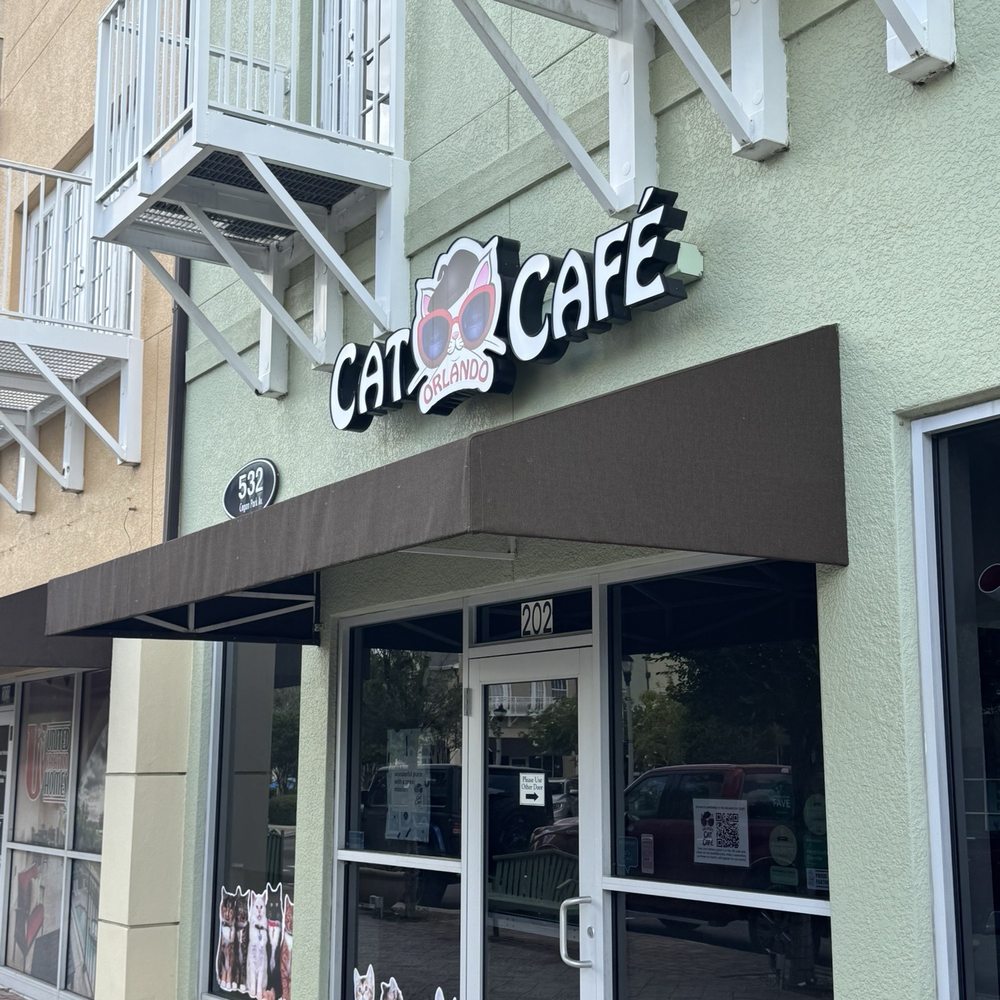 Orlando Cat Cafe - Animal Shelters Near Me - Clermont, Florida Orlando Cat Cafe - Animal Shelters Near Me - Clermont, Florida