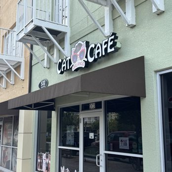 Orlando Cat Cafe - Animal Shelters Near Me - Clermont, Florida Orlando Cat Cafe - Animal Shelters Near Me - Clermont, Florida