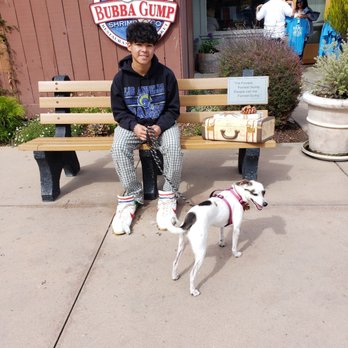 Bubba Gump Shrimp - Waiting for our turn. drinks - Seafood Near Me - Monterey, California Bubba Gump Shrimp - Waiting for our turn. drinks - Seafood Near Me - Monterey, California