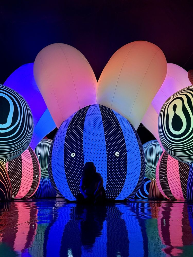 Balloon Museum