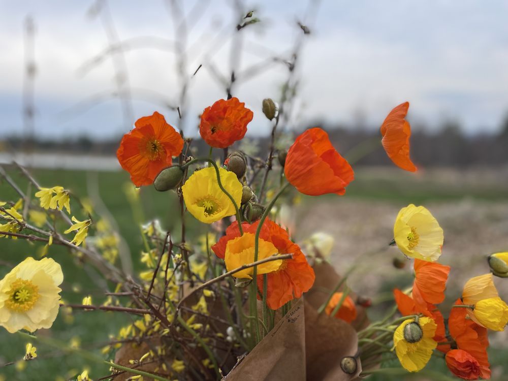 Rosaly's Garden & Farmstand Logo