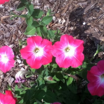 Frelinghuysen Arboretum - Botanical Gardens Near Me - Morristown, New Jersey