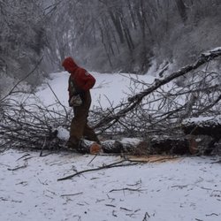 Nardos lawncare and landscape - We will not let a few trees stop us from taking care of our customers.