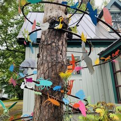 Dorr Museum of Natural History - Artwork all around