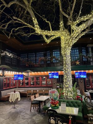 Muldoon's Irish Pub by null