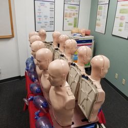 BLS Services - Army of cpr manikins