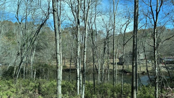 Blue Ridge Scenic Railway by null