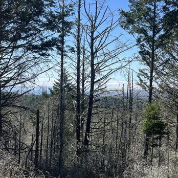 Sky Trail - Burned area near Mt Wittenberg - Hiking Near Me