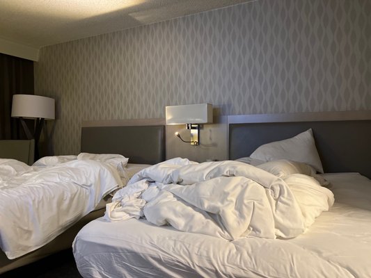 Marriott M Club Lounge by null