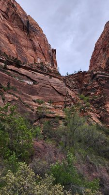 Angels Landing by null