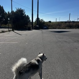 Back lot