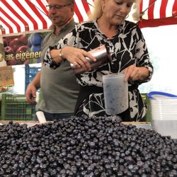 Schranne - Blueberries!