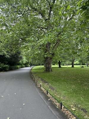 St Stephen's Green by null