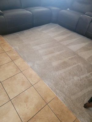 Clean Carpets - Examples of carpet cleaning jobs