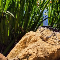 Drs. Dobbins & Letourneau Eye Care