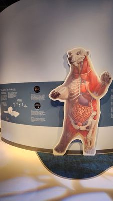 TELUS World of Science by null