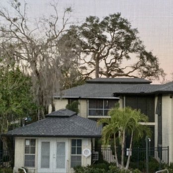 Francisco's Tree Service - Tree Services Near Me Francisco's Tree Service - Tree Services Near Me