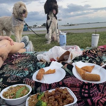 Plum Tree - Orange chicken, Lo mein, egg rolls and crab rangoon - Chinese Near Me - Tampa, Florida Plum Tree - Orange chicken, Lo mein, egg rolls and crab rangoon - Chinese Near Me - Tampa, Florida