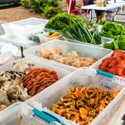 Cartersville Farmers Market