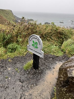 Giant's Causeway by null