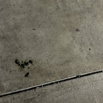Kenneth's Salon + Spa - Gross stuff on the walkway to the entrance. - Day Spas Near Me - Hilliard, Ohio
