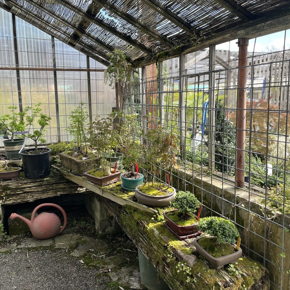 Southern Oregon Nursery - Nurseries & Gardening Near Me - Medford, Oregon Southern Oregon Nursery - Nurseries & Gardening Near Me - Medford, Oregon