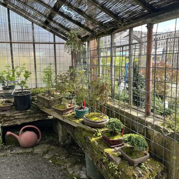 Southern Oregon Nursery - Nurseries & Gardening Near Me - Medford, Oregon