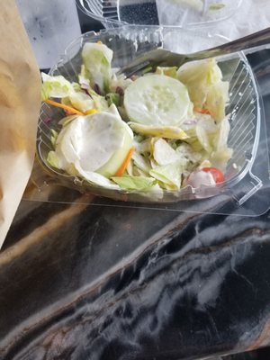 Swamp Chicken Mo City by null